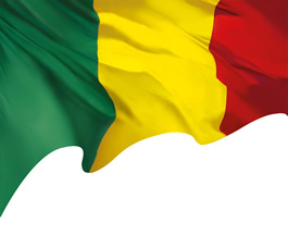 9003Mali_flag